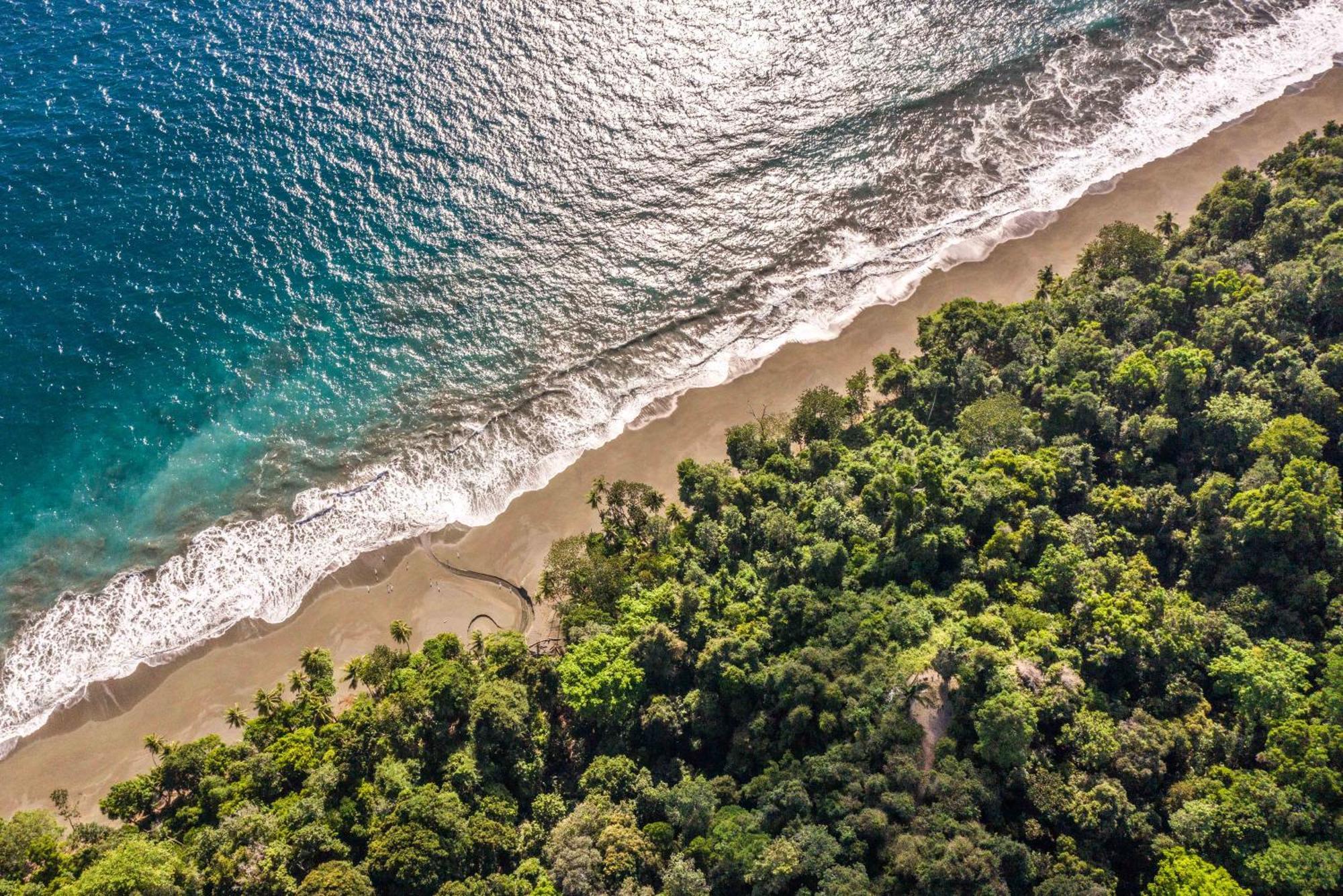 El Remanso Rainforest Lodge Puerto Jiménez Eksteriør billede
