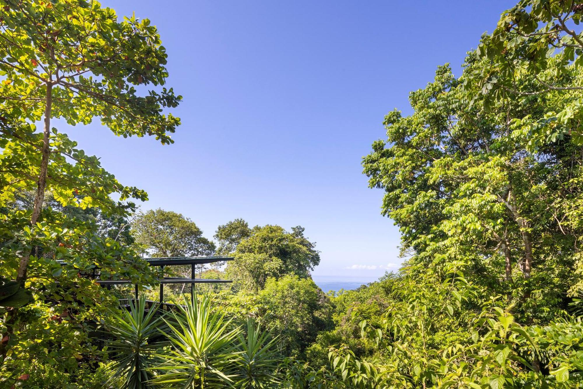 El Remanso Rainforest Lodge Puerto Jiménez Eksteriør billede