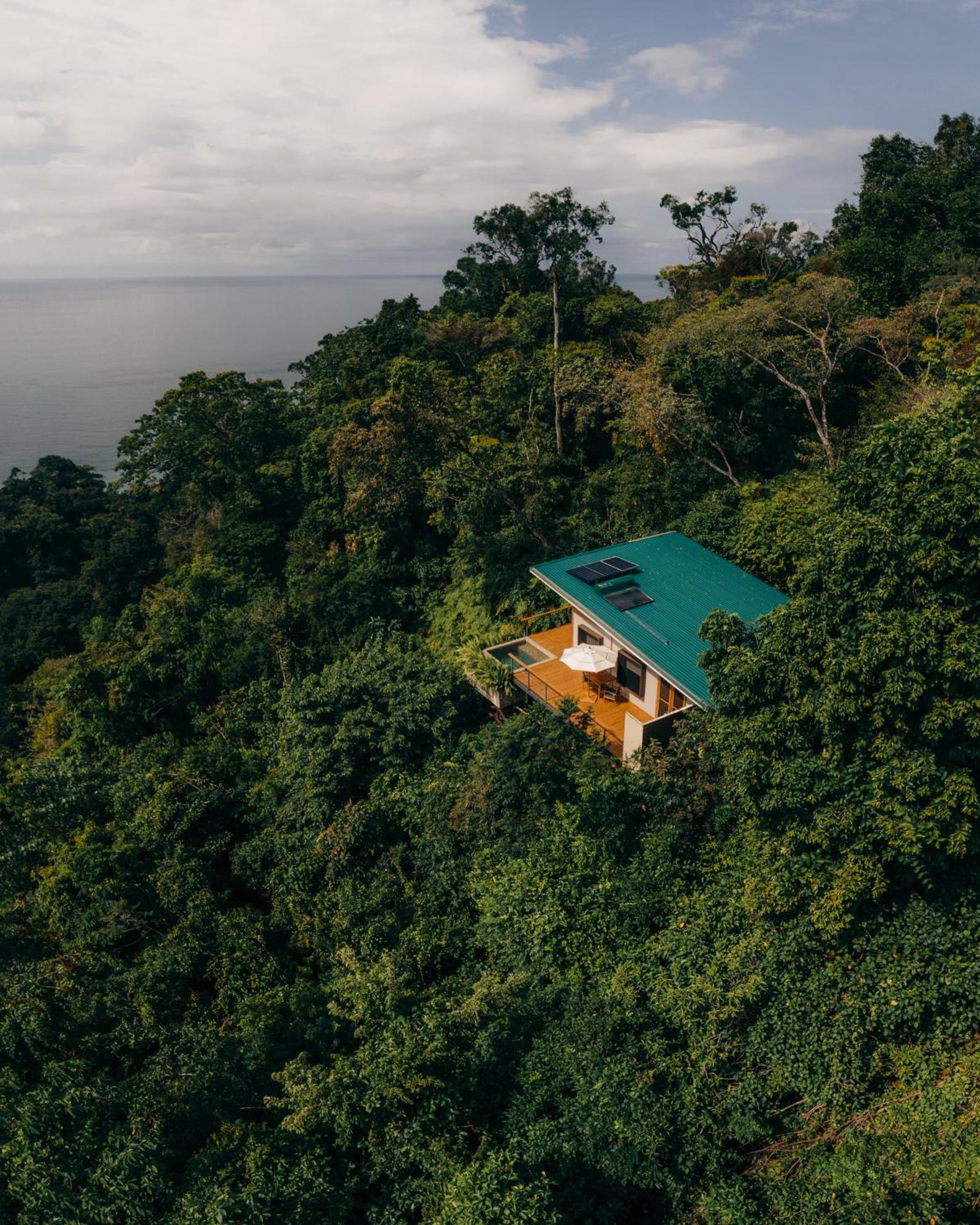 El Remanso Rainforest Lodge Puerto Jiménez Eksteriør billede
