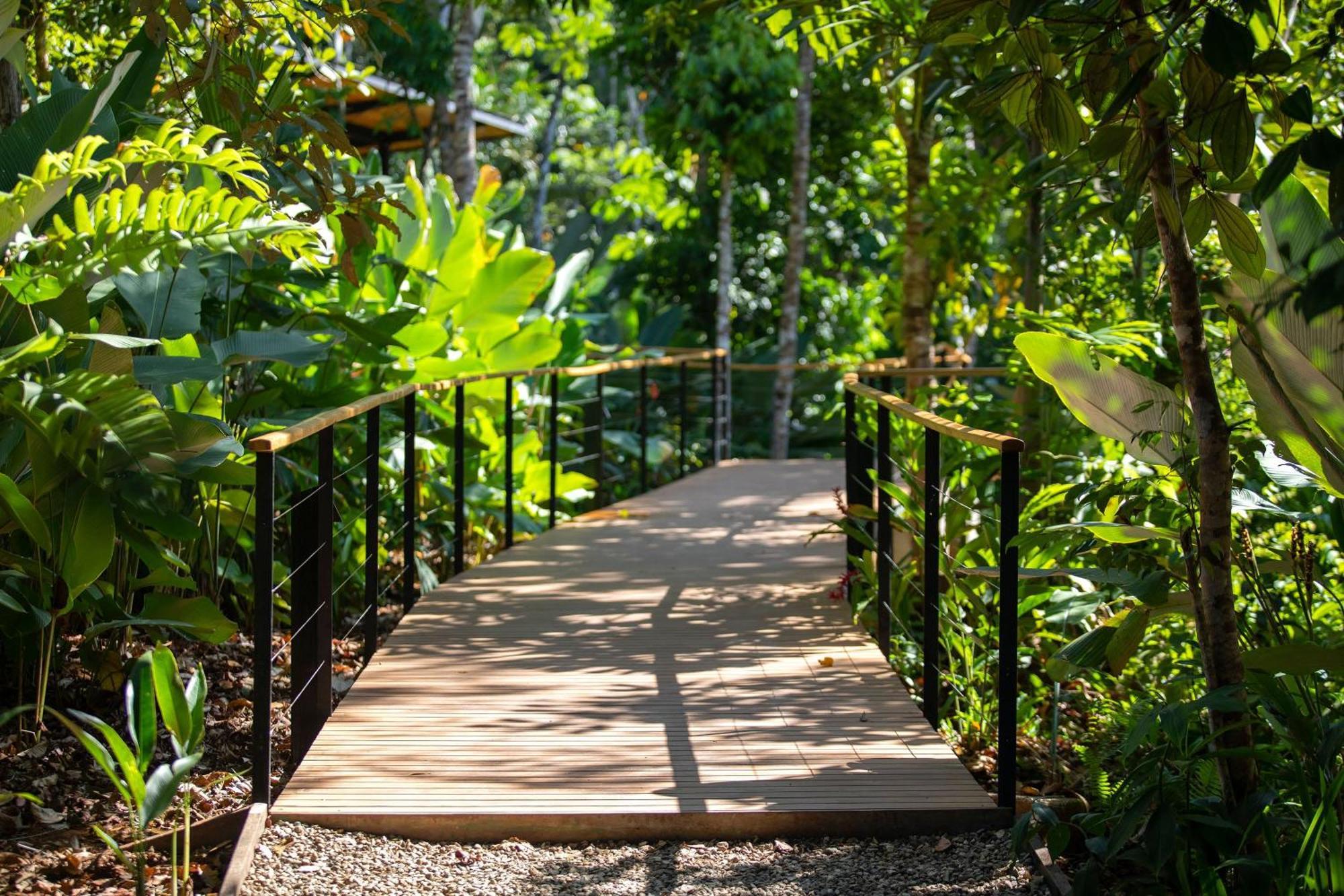 El Remanso Rainforest Lodge Puerto Jiménez Eksteriør billede