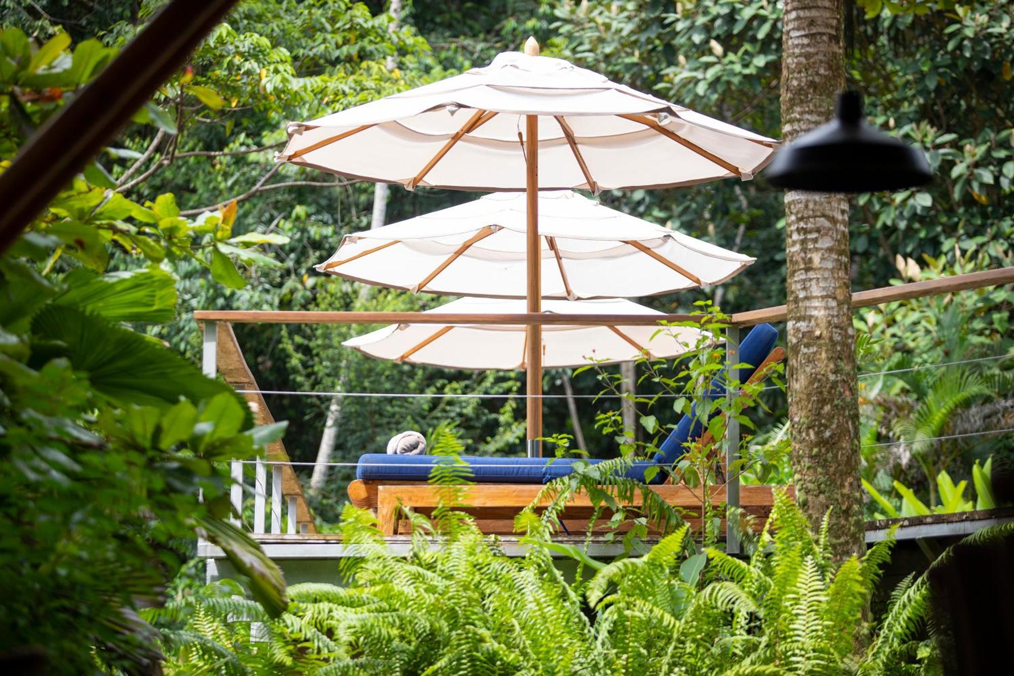 El Remanso Rainforest Lodge Puerto Jiménez Eksteriør billede