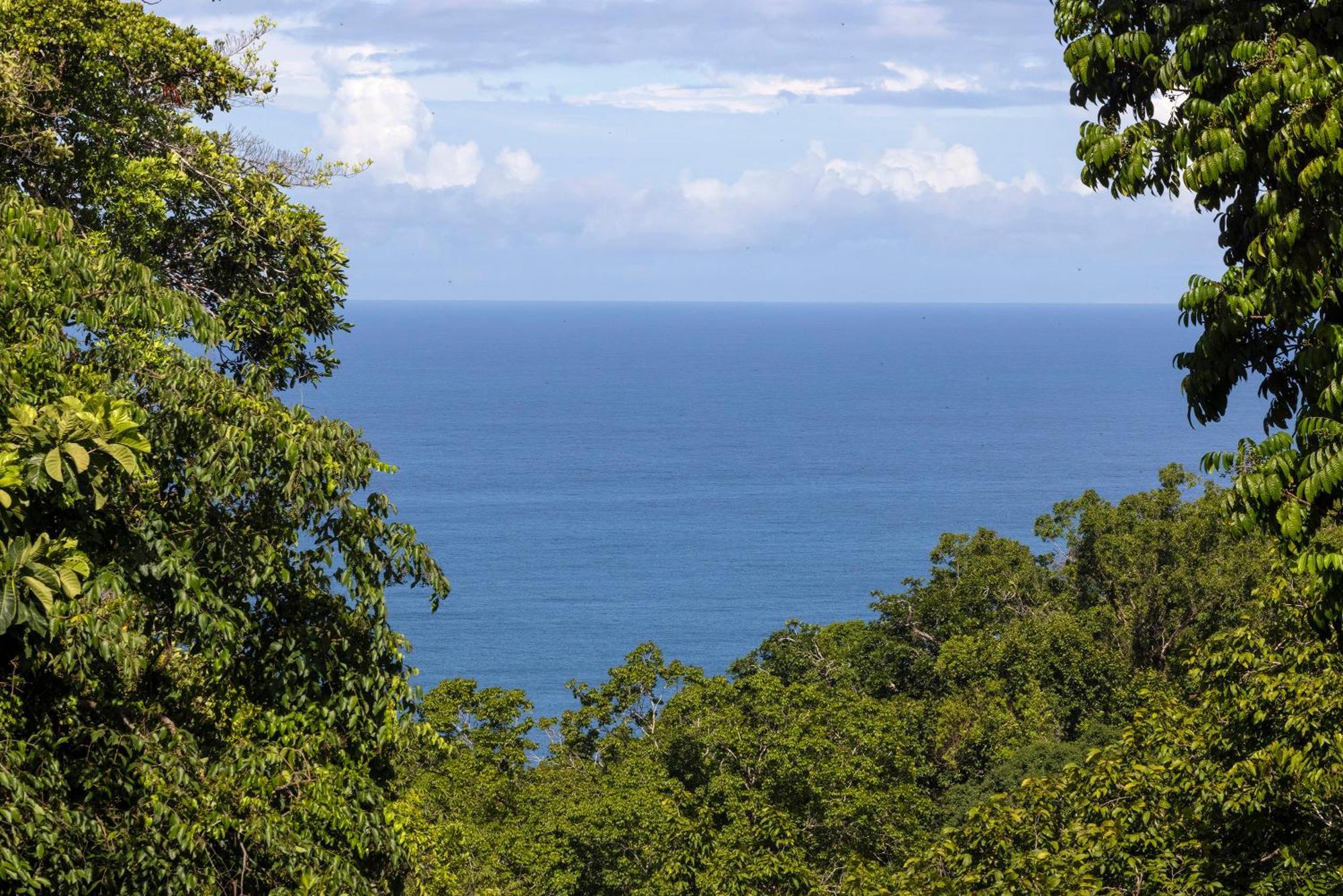 El Remanso Rainforest Lodge Puerto Jiménez Eksteriør billede